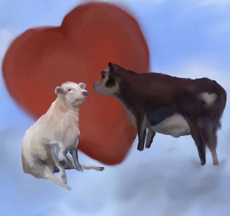 Create meme: animals cute, Cows love, animals funny