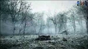 Create meme: landscape, fog forest, call the film well