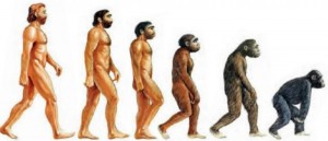 Создать мем: превращение обезьяны в человека, теория эволюции дарвина наоборот, эволюция человека