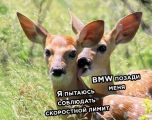 Create meme: meme deer, deer, deer