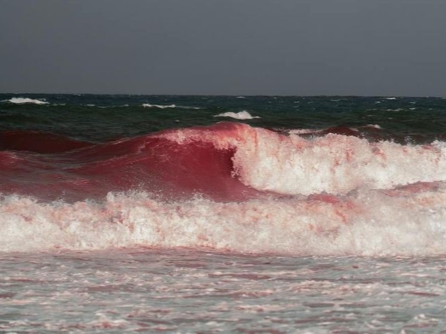 Create meme: the sea is red, Algae red tide, a sea of red