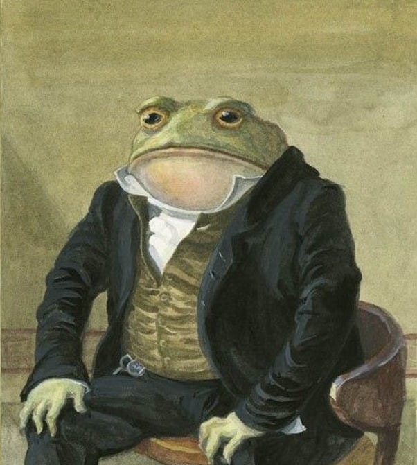 Создать мем: лягушка в одежде, жаба лягушка, frog