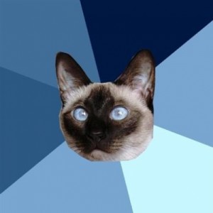 Создать мем: chronic, siamese cat, shades of blue