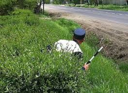 Create meme: traffic police officer , Traffic police nickname, car 