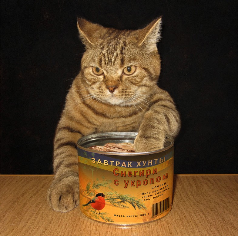 Create meme: sprats, cat eats canned food, cat 