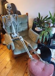 Create meme: a skeleton on a chair, skeleton in waiting, the skeleton is funny