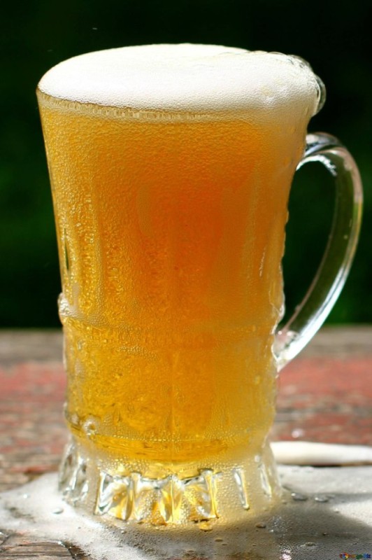 Create meme: beer , cold beer, a glass of beer