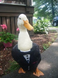 Create meme: goose, important goose, the man with the head of a goose