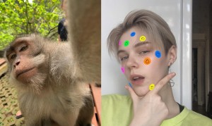 Создать мем: 24 обезьяны, человек, обезьяна домашняя