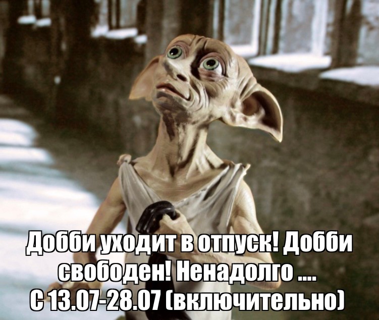 Create meme: Dobby is free , now Dobby is free , Dobby is free to divorce