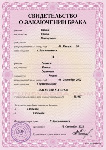 Create meme: marriage certificate, sample of marriage certificate