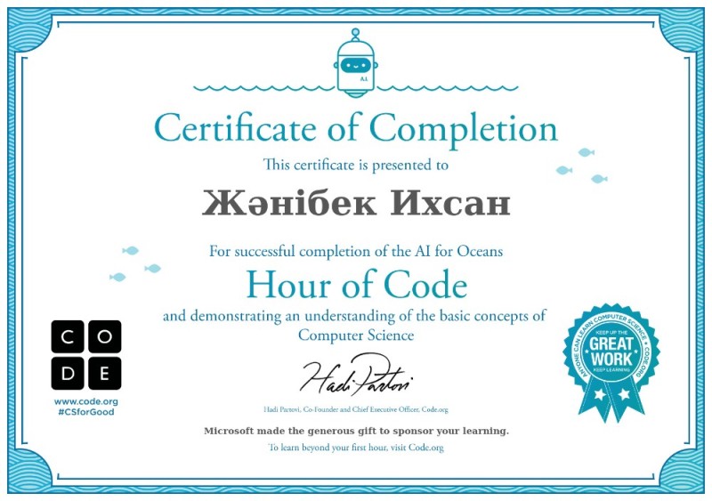 Создать мем: certificate of completion, шаблон сертификата, code.org