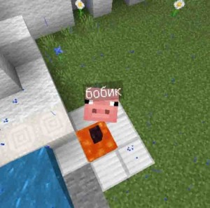 Create meme: a pig in minecraft, minecraft