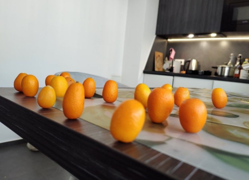 Create meme: kumquat, kumquat fruit, little citrus kumquat