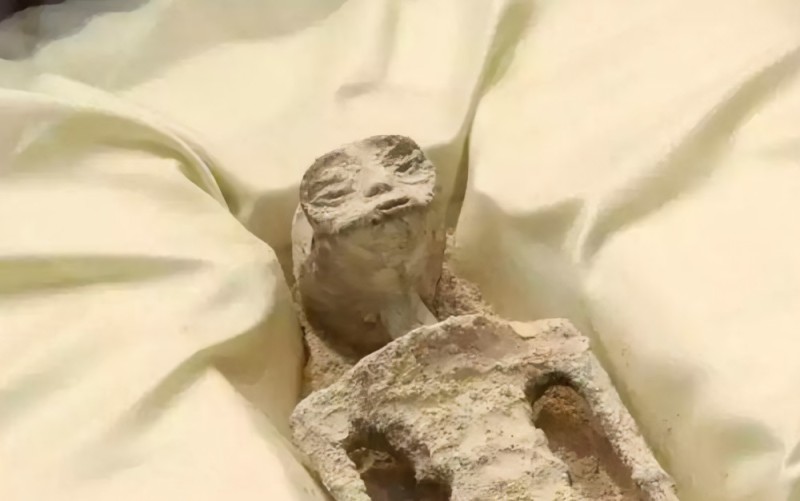 Создать мем: мумифицированное тело, мумия настоящая, перуанская мумия