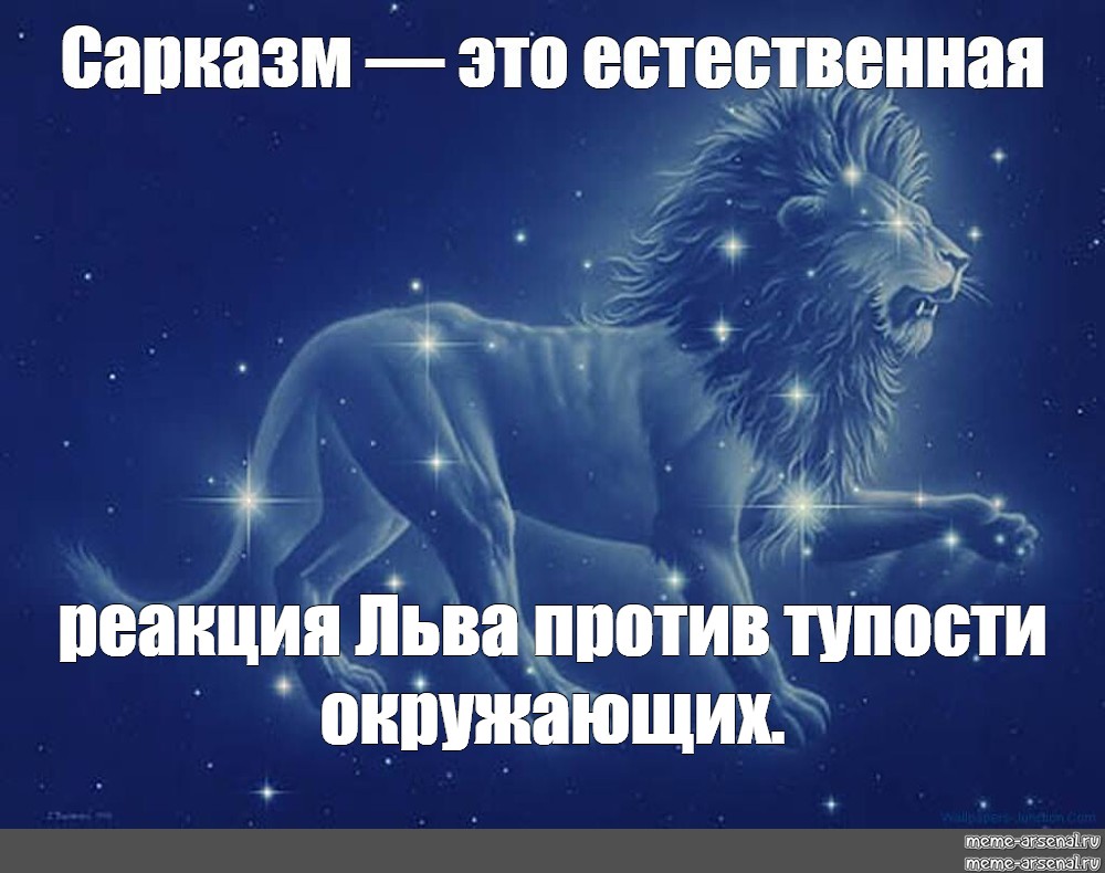 Гороскоп на сегодня женщина лев самый точный. Лев знак зодиака Мем. Лев одиночка. Лев в одиночестве.