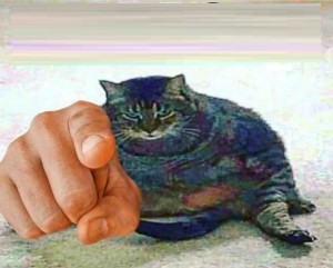 Create meme: Kote, cat, cat