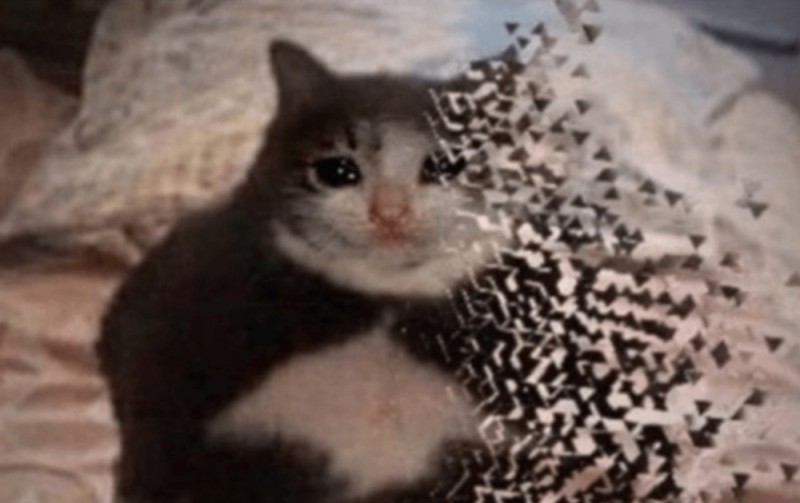 Create meme: memes , cat meme , crying cat