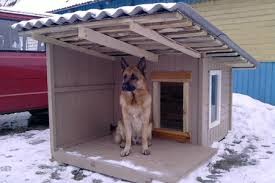 Create meme: dog, house for, dog houses