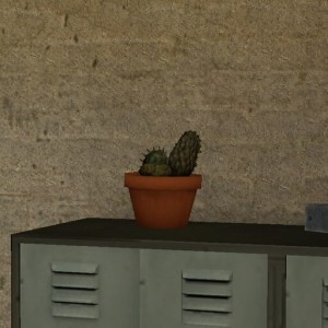 Создать мем: кактус 3d, кактус на пустом фоне, эхинопсис кактус