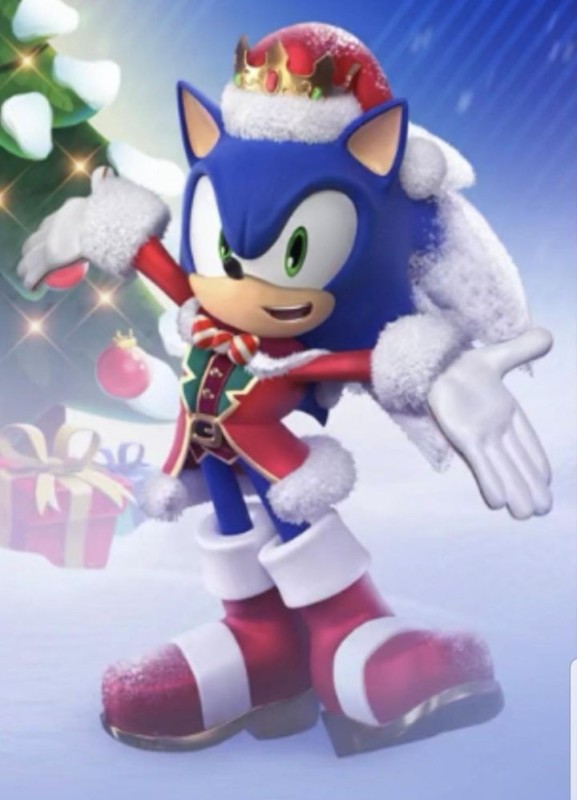 Create meme: sonic , sonic the hedgehog , sonic Santa