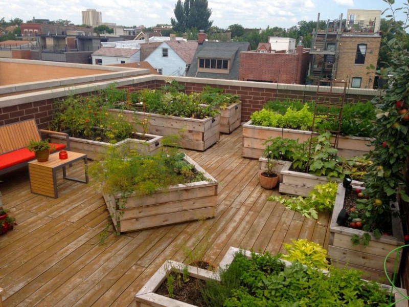 Создать мем: контейнерный огород, патио на крыше, озеленение террасы на крыше