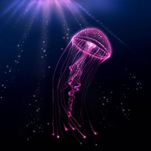 Создать мем: jellyfish dark, живые обои на телефон двигающиеся медузы, медуза