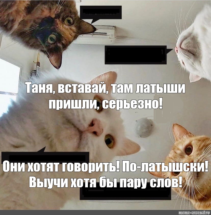 Meme: "Таня, вставай, там латыши пришли, серьезно!Они хотят говорить! 