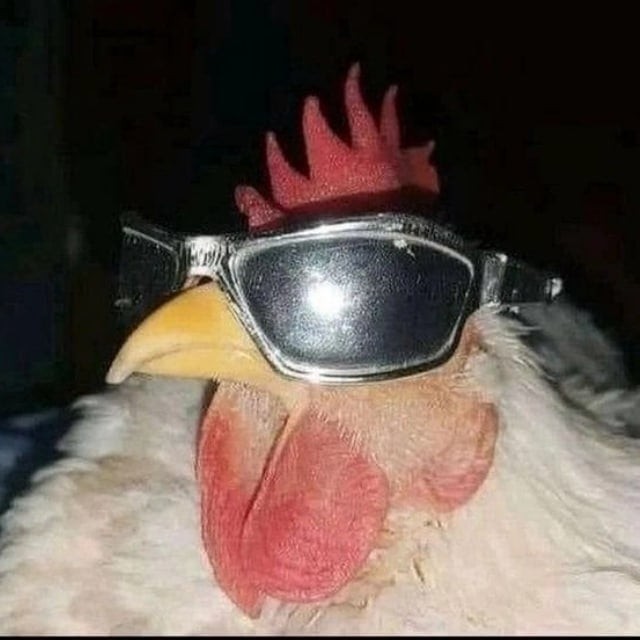Create meme: chicken , cool cock, cool chicken
