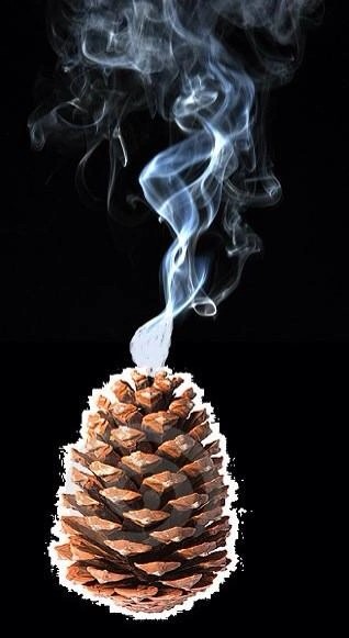 Create meme: smoke effect, The bump meme, pine cones