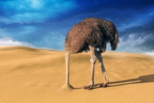 Создать мем: голову в песок, страус прячет голову, страус голову в песок
