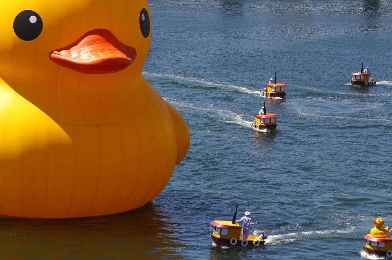 Create meme: duck anime, giant yellow duck, the ducks are giants