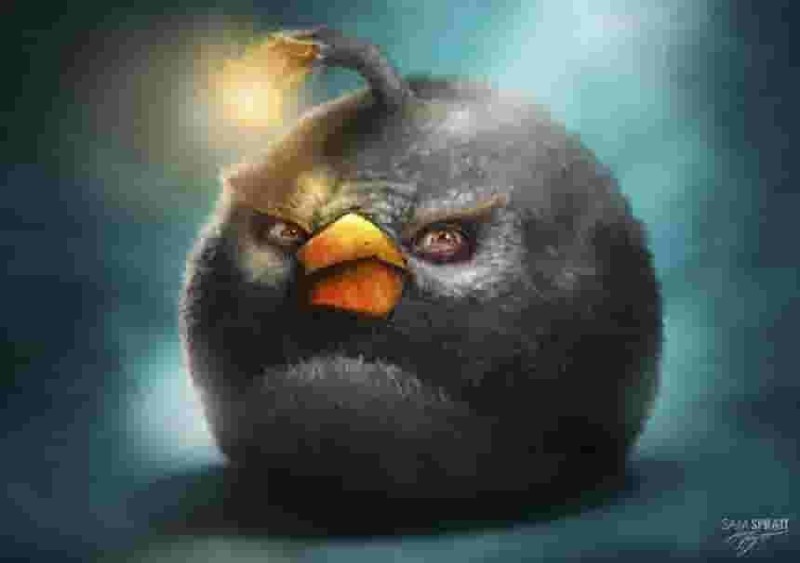 Create meme: angry birds birds, angri birds black, The black bird of Angri Birds