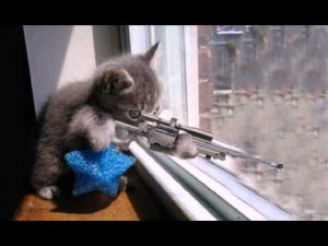 Create meme: Kitty sniper 