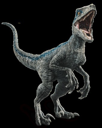 Create Meme A Jurasic World Raptor Charlie Velociraptor Blue Velociraptor Dinosaur Blue Pictures Meme Arsenal Com