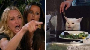 Create meme: memes with a cat at the table, meme with a cat and two women, meme woman yelling at the cat