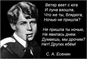 Создать мем: сергей есенин матерные, стих есенина ветер веет с юга, сергей есенин ветер веет с юга