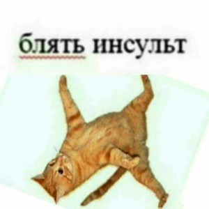 Create meme: cat, cats, stroke ass cat