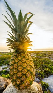 Create meme: pineapple fruit, pineapple