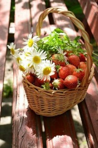 Создать мем: летние цветы в корзинке, корзина с ромашками и ягодами, клубника в корзине