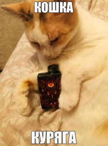 Create meme: cat, cat with a cigarette, stoned cat