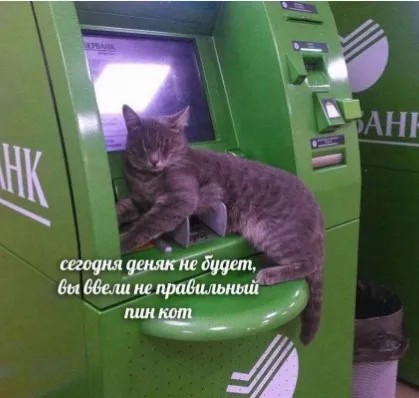 Создать мем: котик сбербанк, кошка у банкомата, кот сбербанк