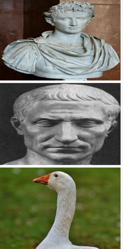 Create meme: figure, victor goose, Gaius julius caesar octavian augustus