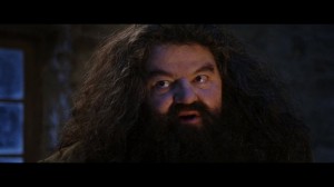 Create meme: Harry Potter Hagrid, Robbie Coltrane is Hagrid