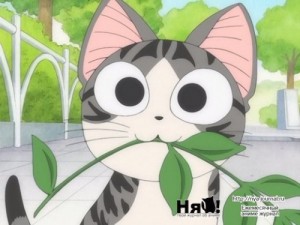 Create meme: chii, anime kitty, chi's sweet home