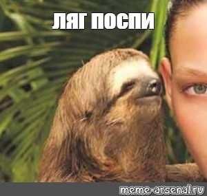 Создать мем: ленивец шепчет на ухо, ленивец, ленивец мемы отдохни