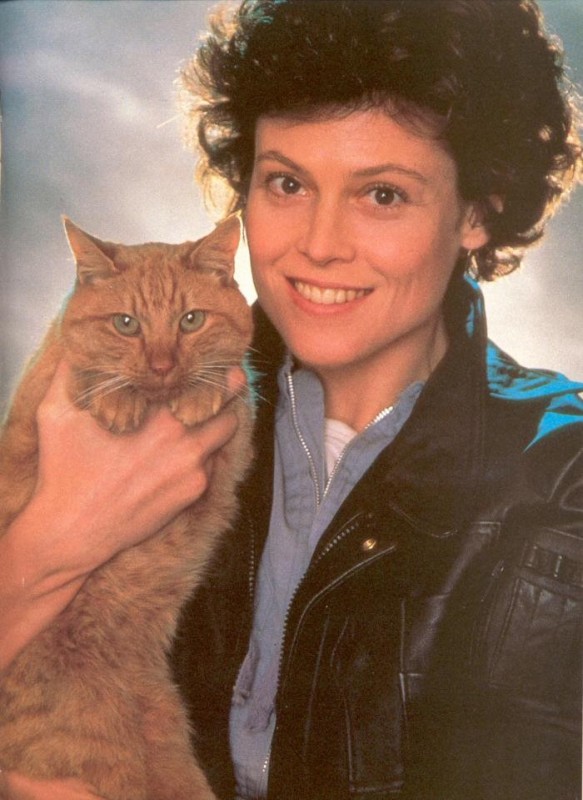 Create meme: cat cat, Sigourney Weaver with a cat, Sigourney