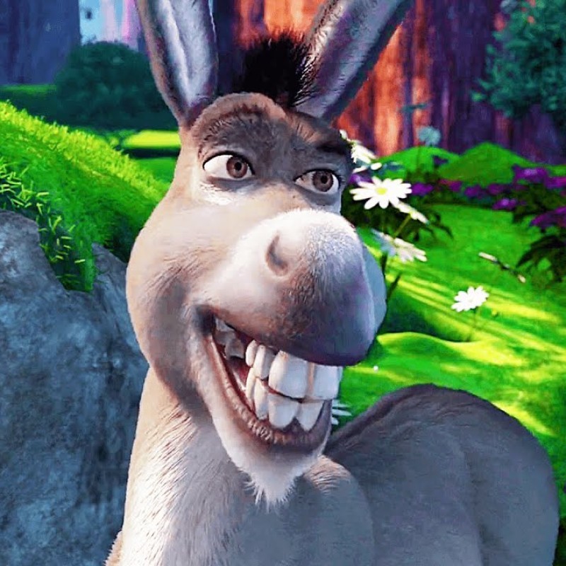 Create meme: donkey shrek, the jackass of shrek, donkey from Shrek 
