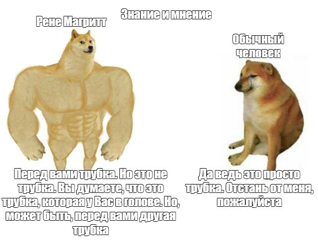 Создать мем: собака качок, накаченная собака мем, собака качок мем