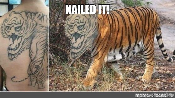 1. "Nailed It" Meme: The Origin and Evolution of a Viral Phrase - wide 5